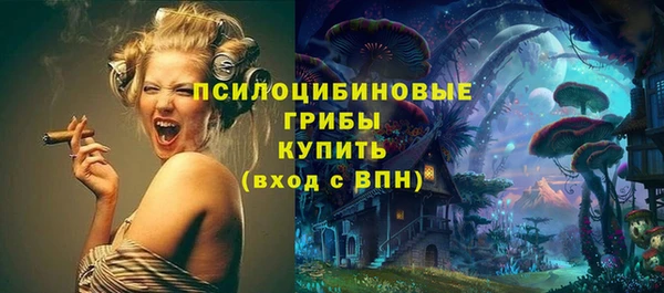 МДМА Медвежьегорск