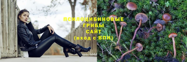 МДМА Медвежьегорск