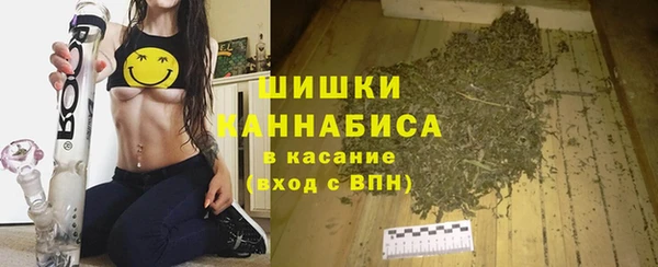 сатива Анива